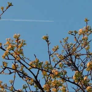 Meet your Posher, Emi